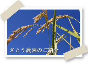 さとう農園のご紹介