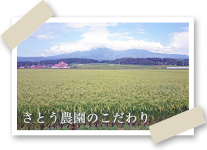 さとう農園のこだわり