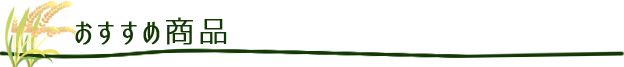 おすすめ商品