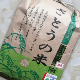誰もが納得する 令和７年産 山形県庄内産 コシヒカリ 特別栽培米 さとうの米 精米10kg