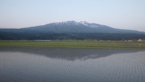 みなさんに愛される 令和７年産 山形県産 ひとめぼれ 特別栽培米 さとうの米 玄米3kg