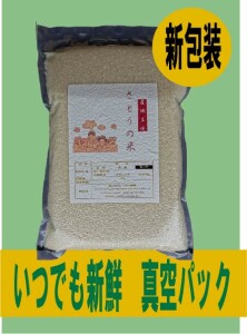 新鮮パック!　令和７年産 山形県庄内産　コシヒカリ  特別栽培米 さとうの米 精米５kg