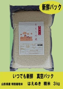 新鮮パック! 令和７年産 山形県庄内産 はえぬき 特別栽培米 さとうの米 精米３kg